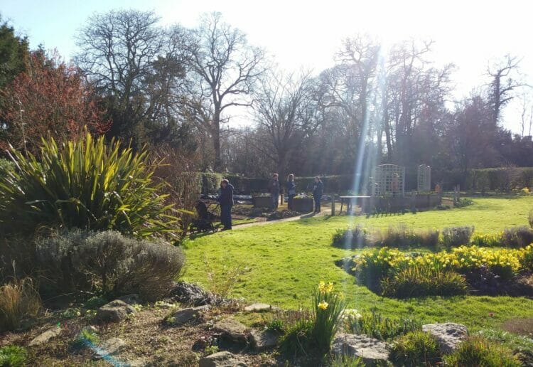The Ridgeline Trust has created a garden in East Reading, from which it helps people with therapeutic sessions led by volunteers Pictures: Ridgeline Trust