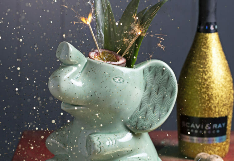 The Coconut Tree is hosting hen parties Picture: Kirstie Young