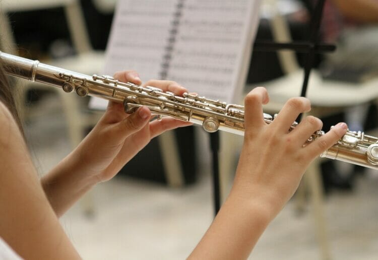 The Fairwater Flute Ensemble will be back in action on Saturday, October 7 Picture: Brenda Geisse from Pixabay