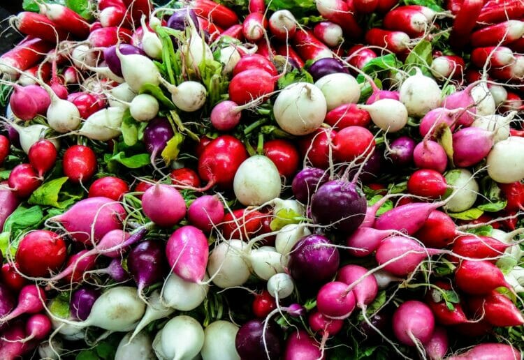 Picture: Philippe Collard via Unsplash