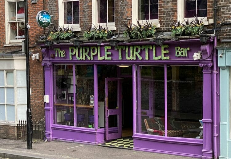 The Purple Turtle Picture: Phil Creighton