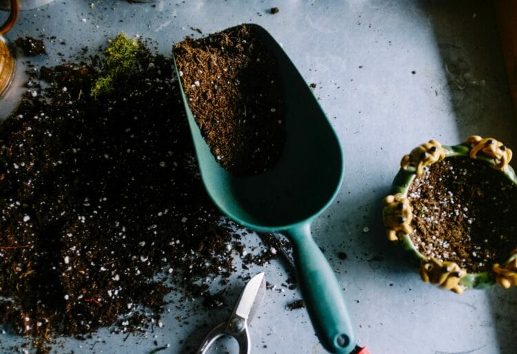 Picture: Neslihan Gunaydin via Unsplash
