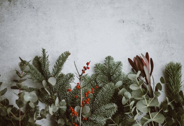 Picture: Annie Spratt via Unsplash
