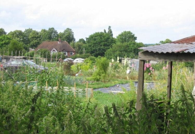 The Tilehurst allotments viewed from Armour Hill Picture: Chris Collard/Creative Commons Licence
