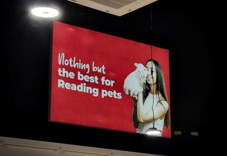 Jollyes has opened a new pet store in Reading Gateway Retail Park Picture: Jollyes