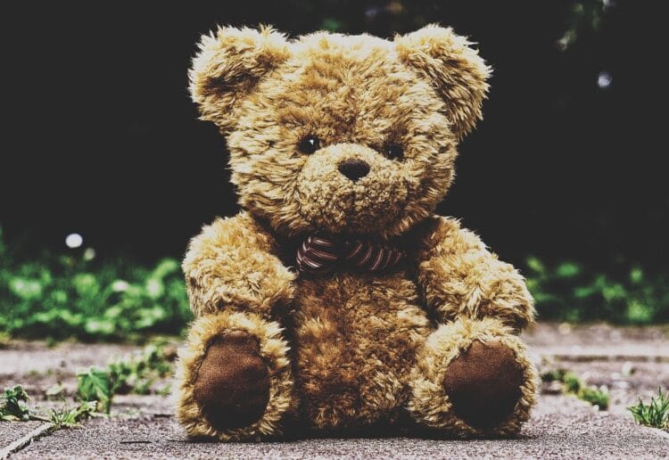 A bear, yesterday Picture: Posed by model / Pixabay