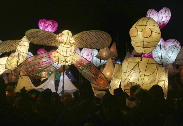 Reading Lantern parade Picture: Dijana Capan/DVision Images