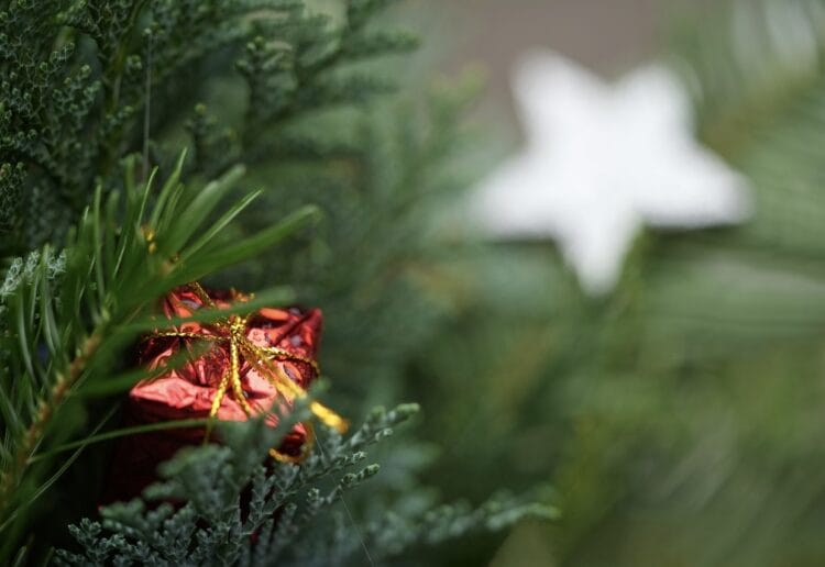 Christmas tree recycling points will be installed across Reading after Christmas to help reisdents dispose of their tree Picture: Mariya from Pixabay