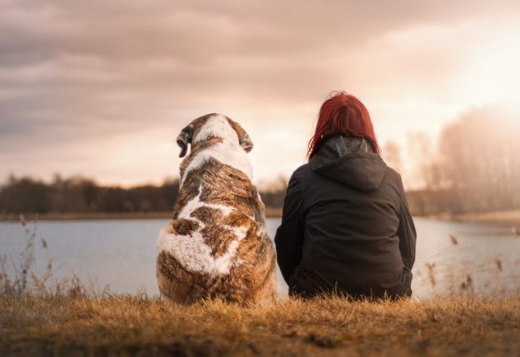 A dog is a friend for life Picture: pixabay