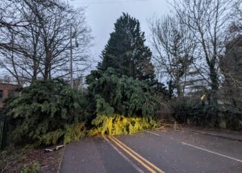 Storm Henk: Fallen tree blocks Little Heath Road