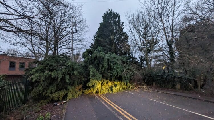 A fallen tree has blocked Little Heath Road to motorists and pedestrians, causing disruption to Royal Blue 33 services.
