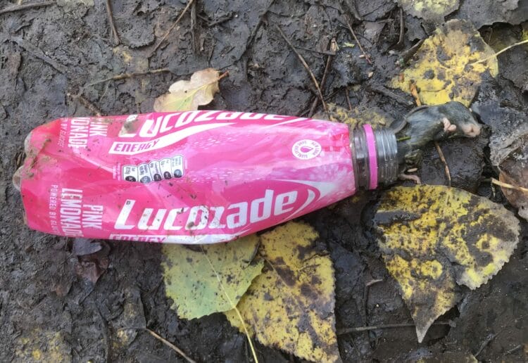 A rodent trapped in a plastic bottle left at the roadside Picture: RSPCA