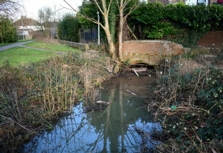 Logs, wood and debris is blocking the water flow at the Gosbrook, which passes through Caversham. Credit: Office of Matt Rodda MP.