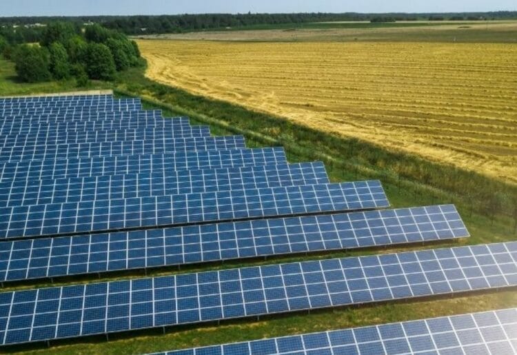 An example of the type of solar panel proposed at Heathlands Farm. Credit: OSP Architecture.