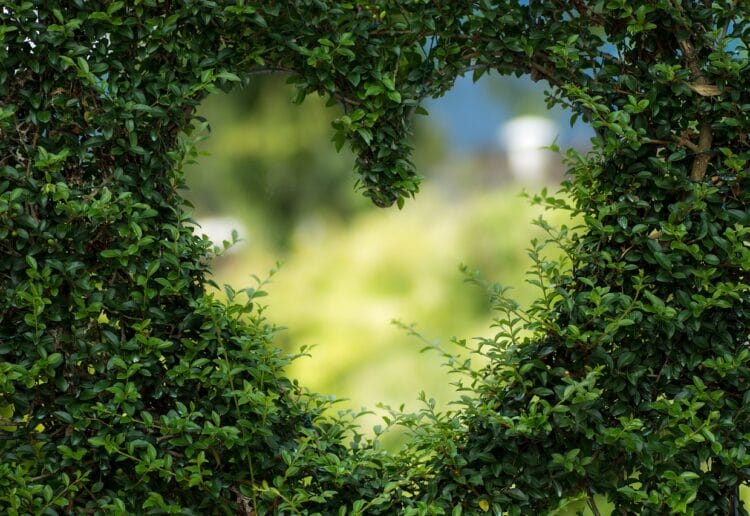 Picture: Pixabay