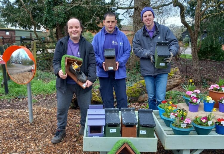 Some of the bird boxes created for people to buy, from members of Thrive