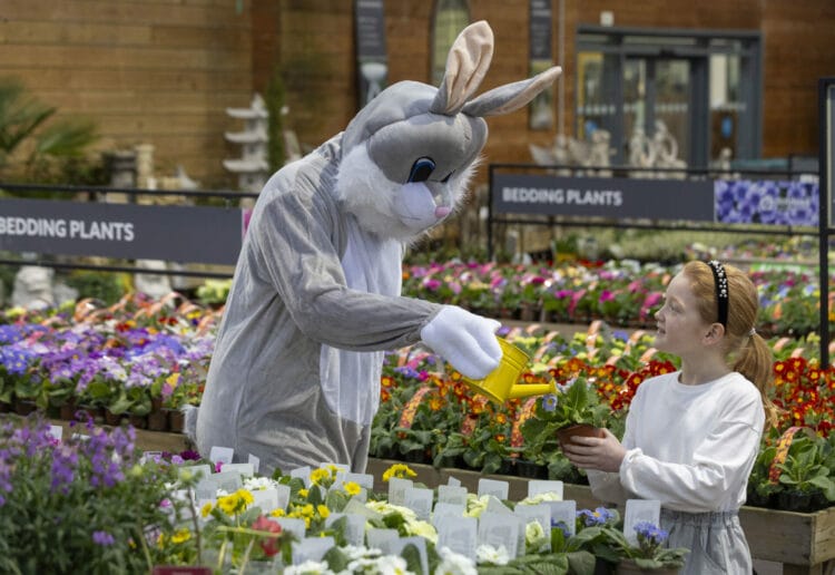 Dobbies? Easter Bunny with Little Seedlings Club Ambassador, Emelia Broadfoot Picture:  Jeff Holmes