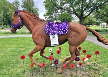 D-Day 80th anniversary poppies STOLEN in Arborfield