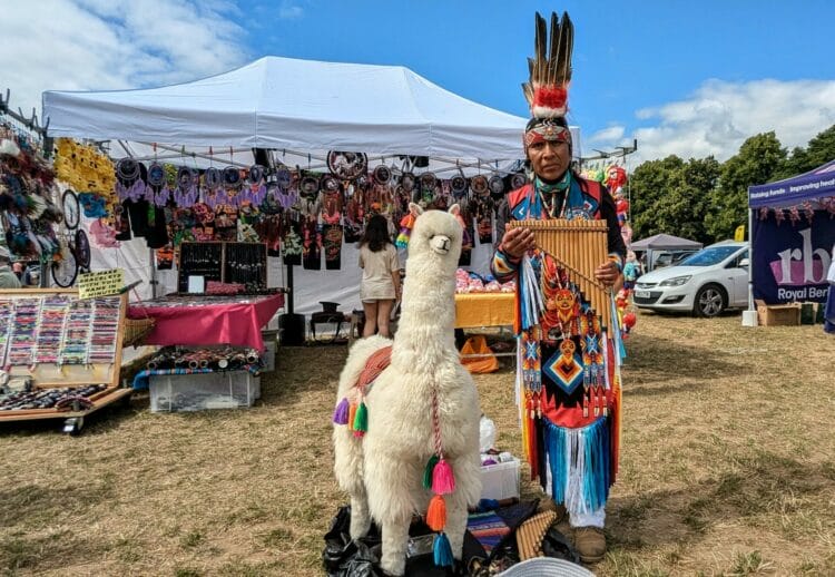 No cause for a llama: this one is only a plushie. Picture: Jake Clothier