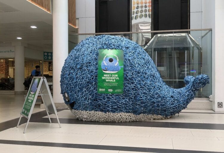 A whale that encourages recycling has beached at Broad St Mall, and it needs a name Picture: Jake Clothier