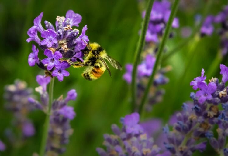 Picture: Jenna Lee, via UnSplash