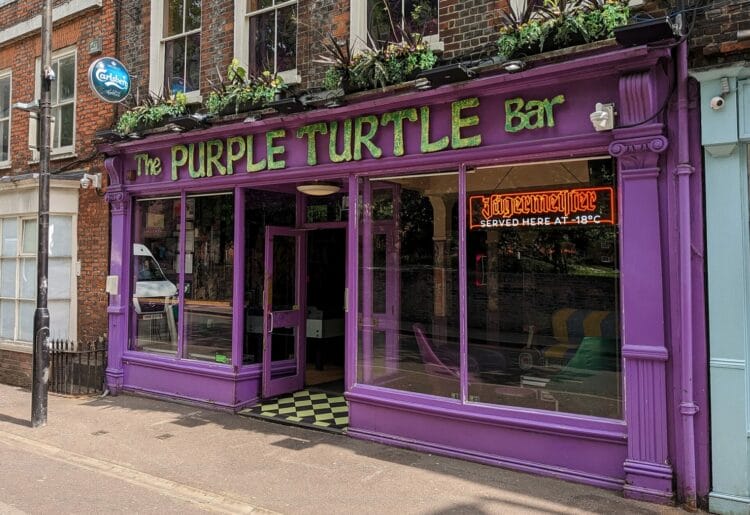 Flip Top Head is to headline at The Purple Turtle in September, with support from Empires, Empires, Rats-Tails, and Doops. Picture: Jake Clothier