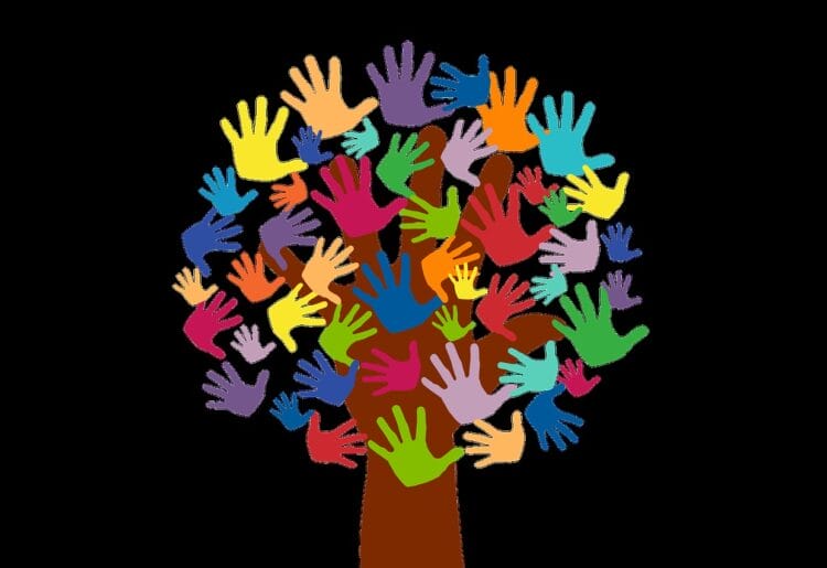 Volunteer