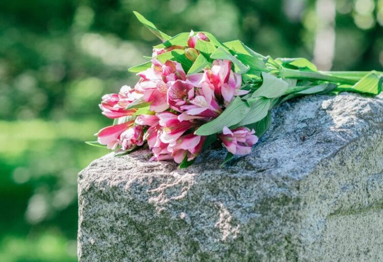 Reading Borough Council has begun its consultation on returning Henley Road allotments to its intended use as cemetery ground. Picture: Reading Borough Council