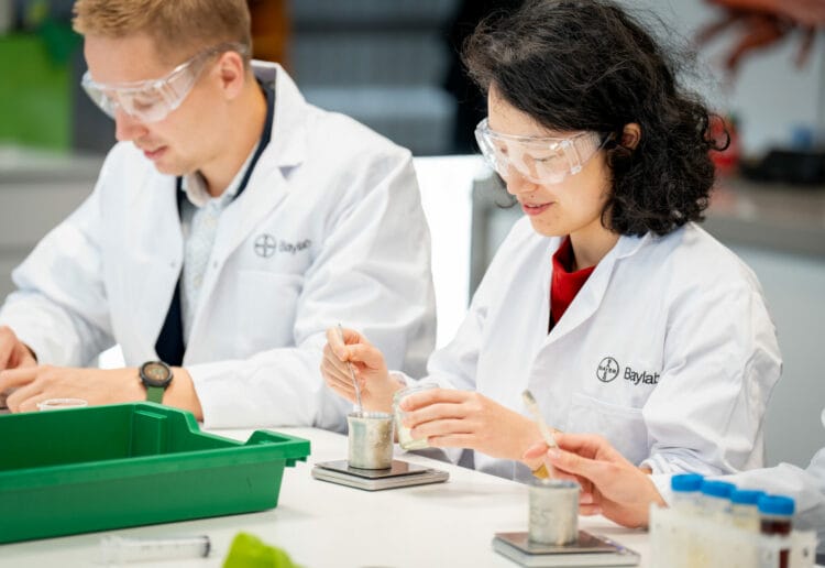 Bayer