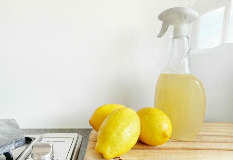 Learn how to green clean at a pop-up workshop. Picture: Precious Plastic Melbourne via Unsplash