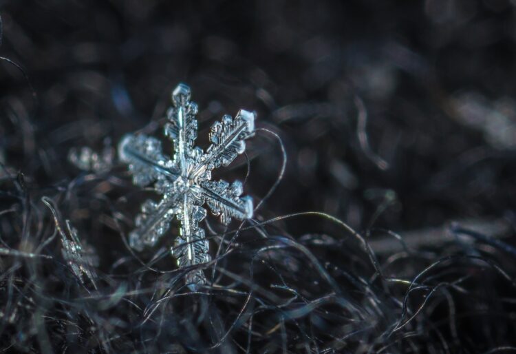 University of Reading experts say cold-weather combination is "likely to disrupt travel and transport services" this week.