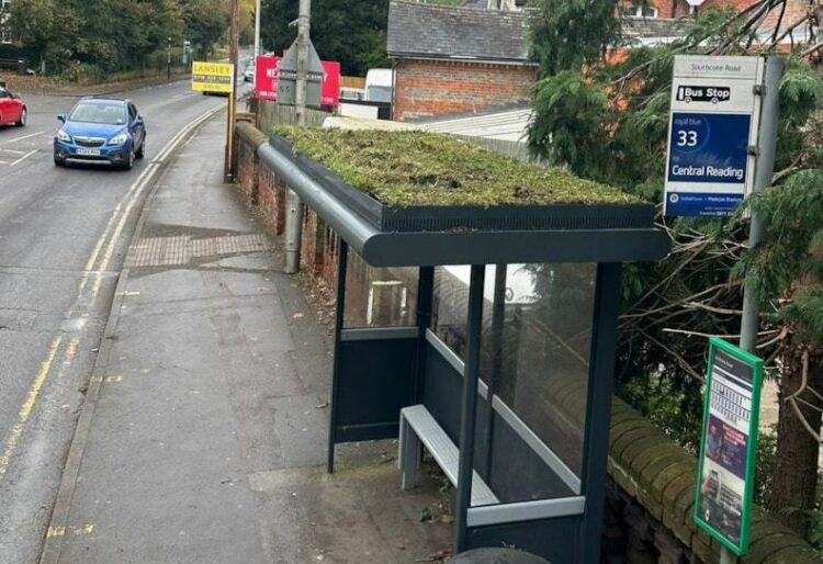 The council has brought microhabitats to bus shelters in Reading, with fifteen of the shelters now sporting "living" rooftops. Picture: Reading Borough Council