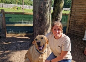 Dog-lovers unite with Hunters Dog Holidays
