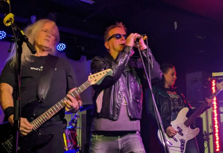 Face Bar will welcome Reading's own answer to the original punk rock proponents, Remones, and Siouxsie and the Banshees tribute Painted Bird. Picture: Jake Clothier