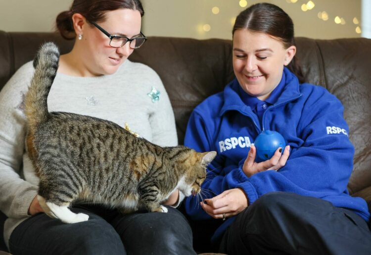 RSPCA
