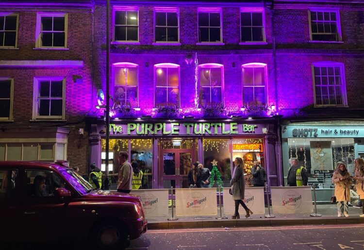 The Purple Turtle