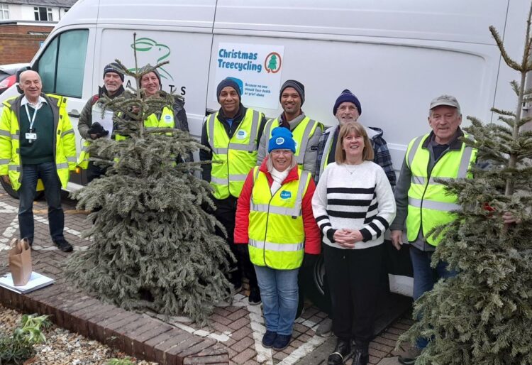 Thames Valley volunteers helped to raise thousands of pounds for Sue Ryder, collecting unwanted Christmas trees for recycling. Picture: courtesy of Sue Ryder