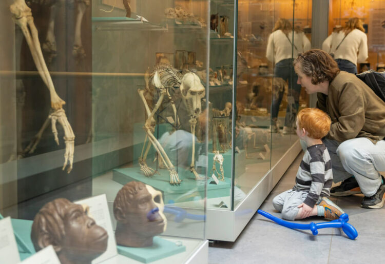 The University of Reading is set to see the return of its family festival on Saturday, May 17.