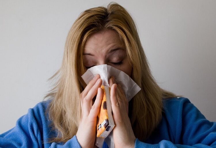 Hay fever warning Picture: Pixabay
