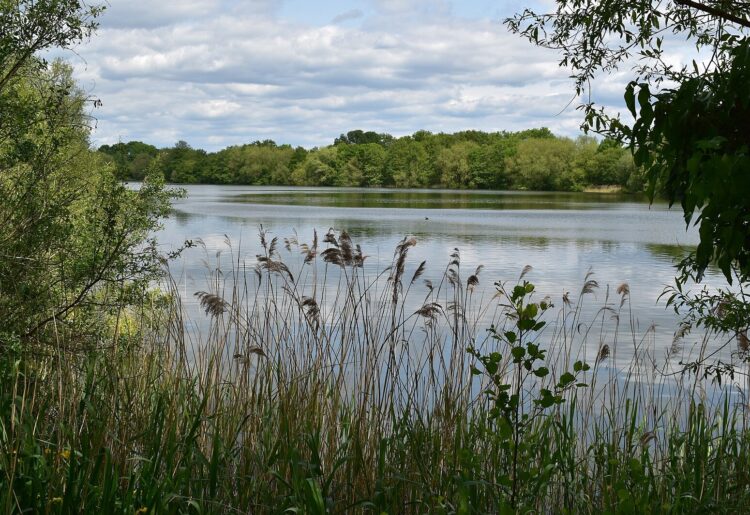 Launchpad has announced it will be hosting a Summer Solstice Swim at Dinton Pastures Activity Centre to celebrate the longest day of the year with fundraising and activities. Picture: Simon Mortimer, via Wikimedia Commons