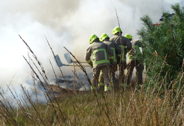 Whether people are planning a barbecue, camping trip or countryside hike, there are small steps they can take to prevent a fire from breaking out. Picture: RBFRS