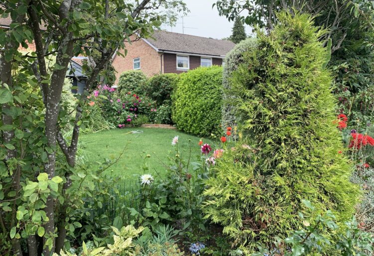 The local In Bloom competition invites residents from across the borough to nominate their best floral and botanical displays, including from residential gardens, school and pub displays, community gardens, and commercial spaces. Pictured: Garden by Guy Watts, courtesy of Reading in Bloom.