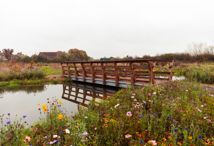 National Meadows Day celebrations are coming to Shinfield next Saturday, with an open public event taking place at Langley Mead nature reserve.