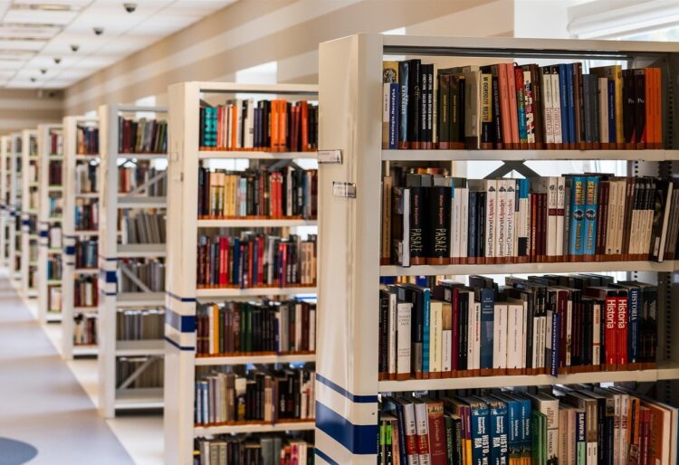 Library Picture: Pixabay