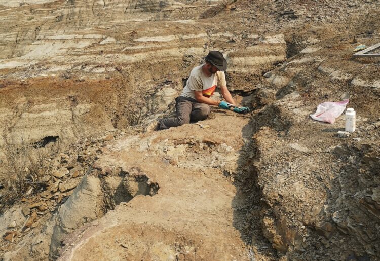 A team of researchers including experts from the University of Reading has found evidence of mulitspecies hearding from over 75 million years ago, a new study explains. Picture: University of Reading