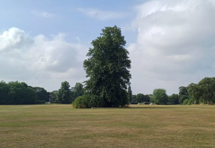 Prospect Park has been crowned Reading?s favourite park following a vote which saw over 500 Reading residents take part. Picture: Reading Borough Council