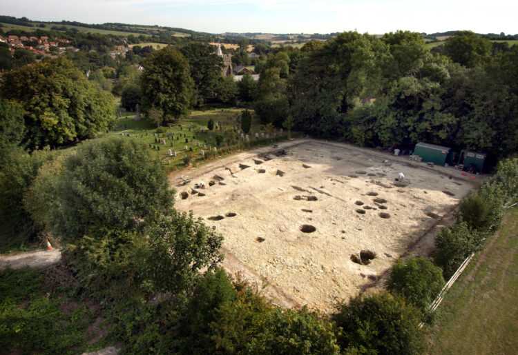 Scientists from the University of Reading have found a beak excavated in Kent belonged to a species reintroduced to the county just last week. Picture: University of Reading