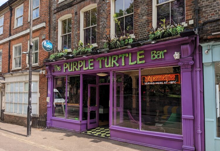 Purple Turtle