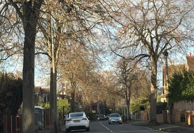 Northcourt Avenue in Reading, which is set to have a 20mph speed limit and humps installed starting Monday, December 8. Credit: James Aldridge, Local Democracy Reporting Service
