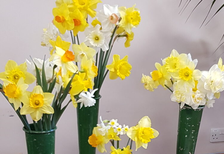 Picture: Caversham Horticultural Society